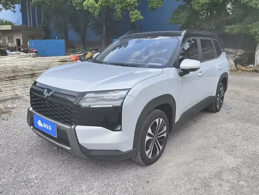 Wuling Motors Starlight 560