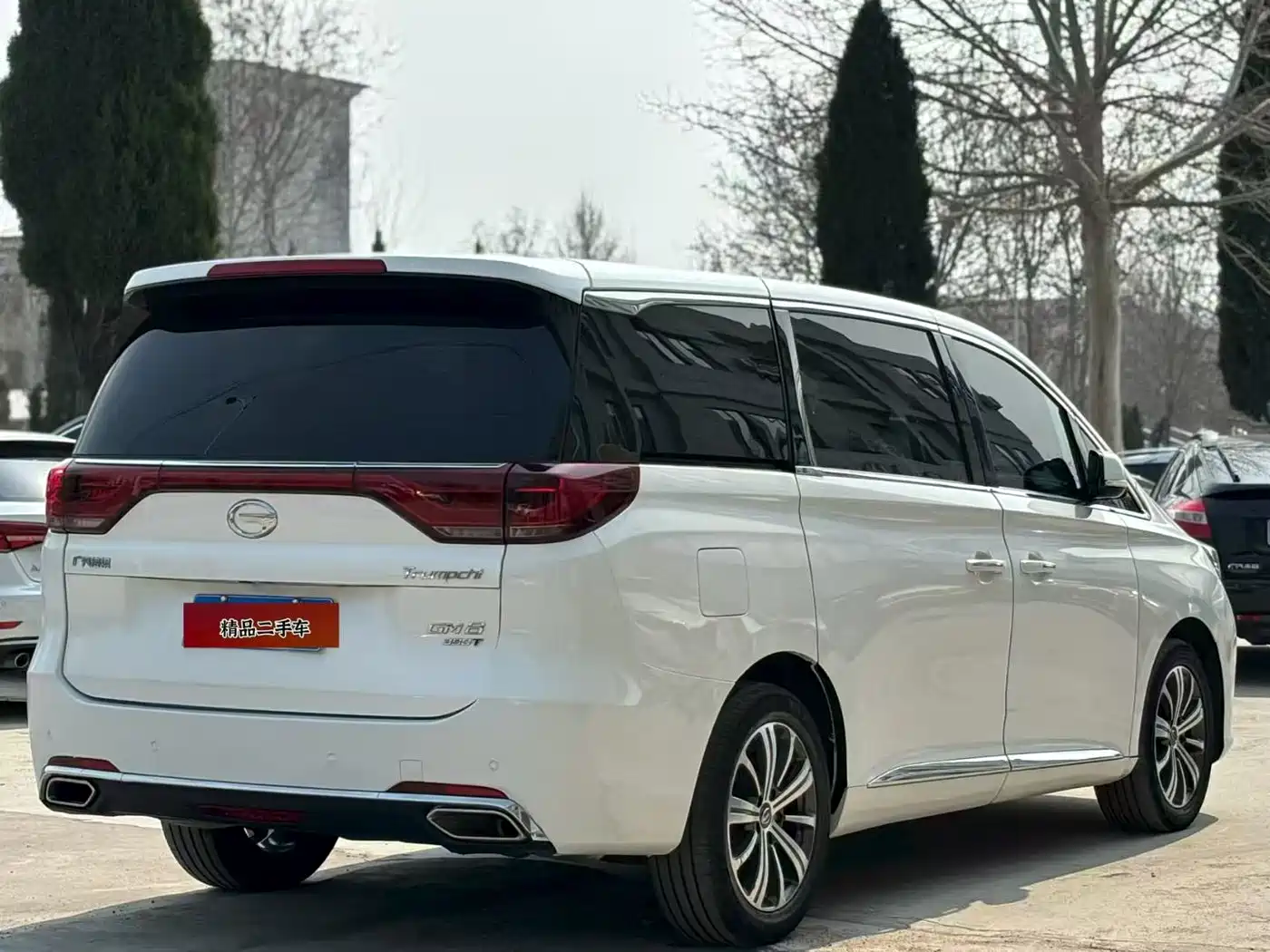 GAC Trumpchi Trumpchi M8 2020 390T Prestige фото 6