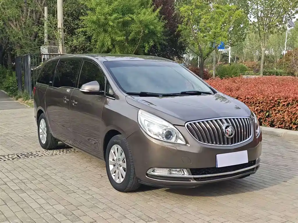 Buick GL8 2015 2.4L Luxury Business Exclusive Edition фото 3