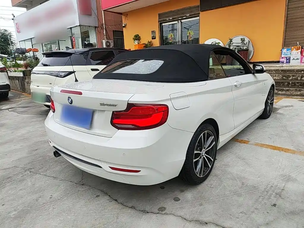 BMW 2 Series (Import) 2018 220i Convertible Coupe Sport Design Package фото 7