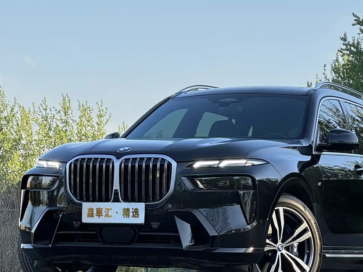 BMW X7 2023 xDrive40i Exclusive M Sport Package фото 4