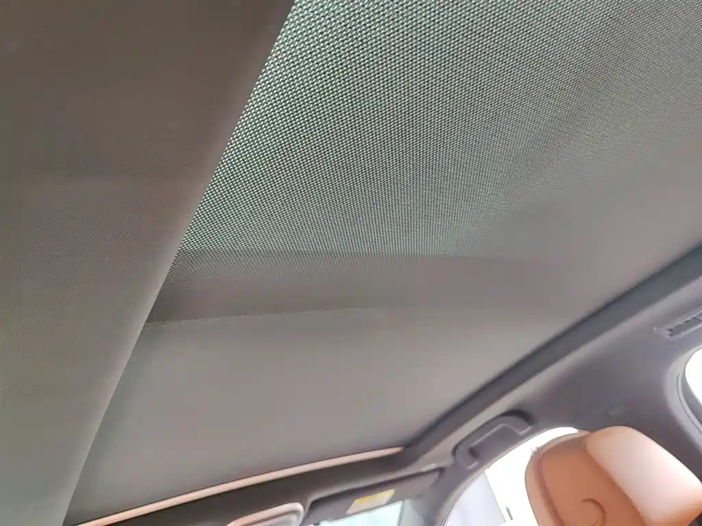 BYD Tang New Energy 2022 EV 730KM Premium фото 14
