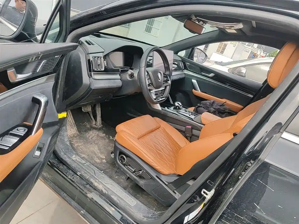 BYD Tang New Energy 2022 EV 730KM Premium фото 12