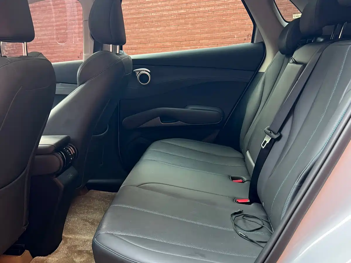 BYD Yuan PLUS 2025 Smart Drive 510KM Surpass Edition фото 10