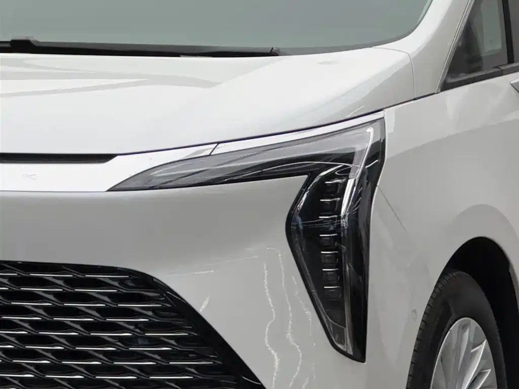 Buick Century 2025 2.0T 7-Seater World Edition фото 3