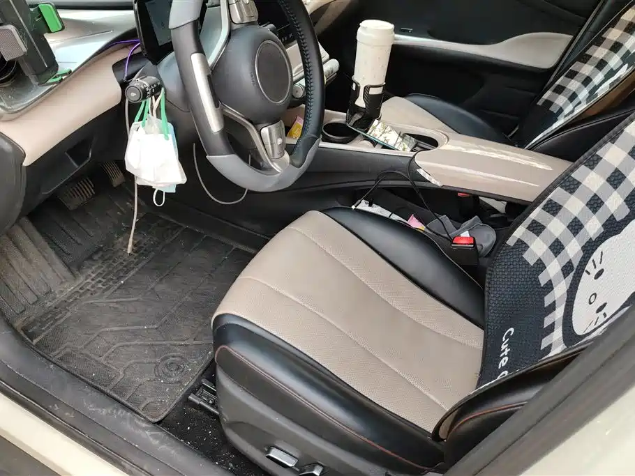 BYD Dolphin 2024 Glory Edition 420km Freedom Edition фото 9