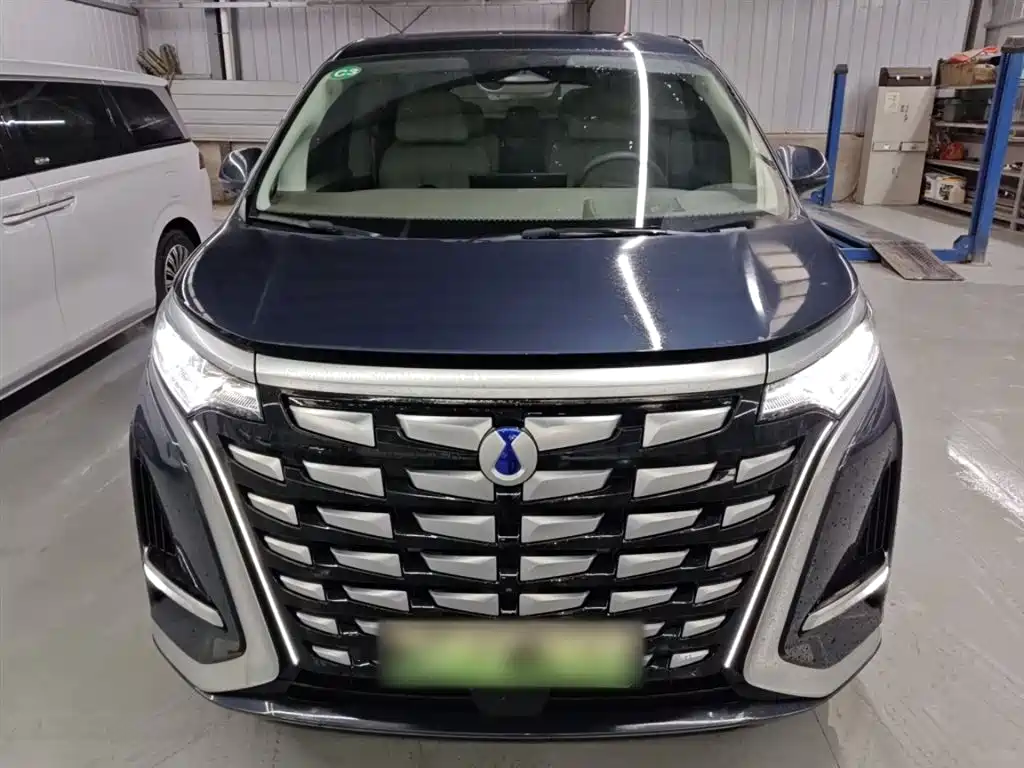 Denza D9 2022 DM-i 970 AWD Flagship фото 3