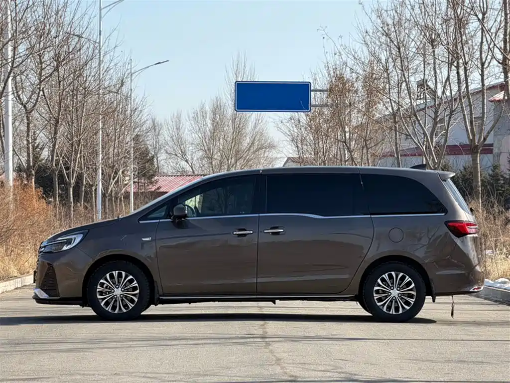 Buick GL8 2023 Land Business Class 652T Luxury фото 23