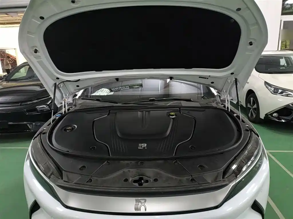 BYD Han 2020 EV Extended Range Premium фото 20