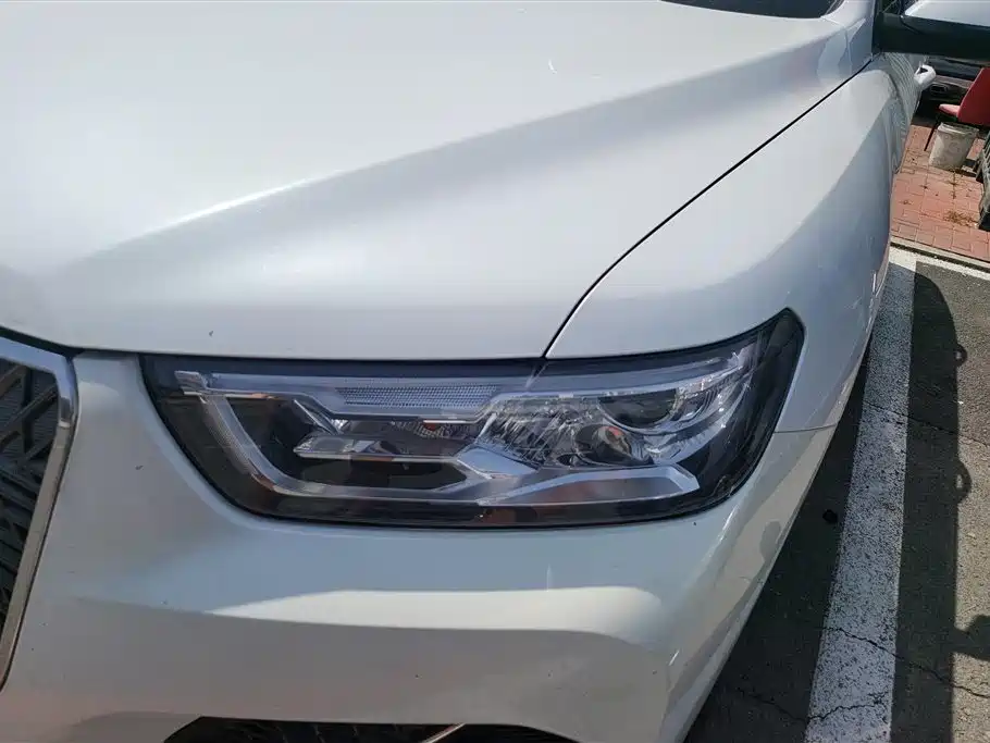 Haval H6 2020 1.5GDIT Automatic Platinum Champion Edition фото 5