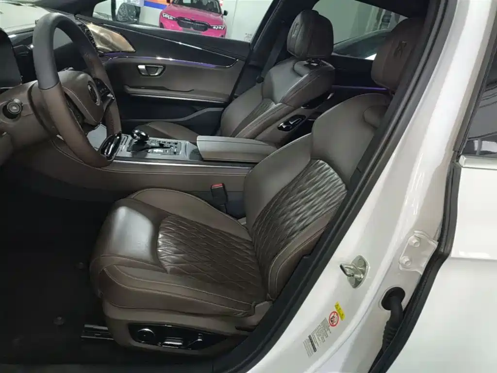 BYD Han 2020 EV Extended Range Premium фото 15