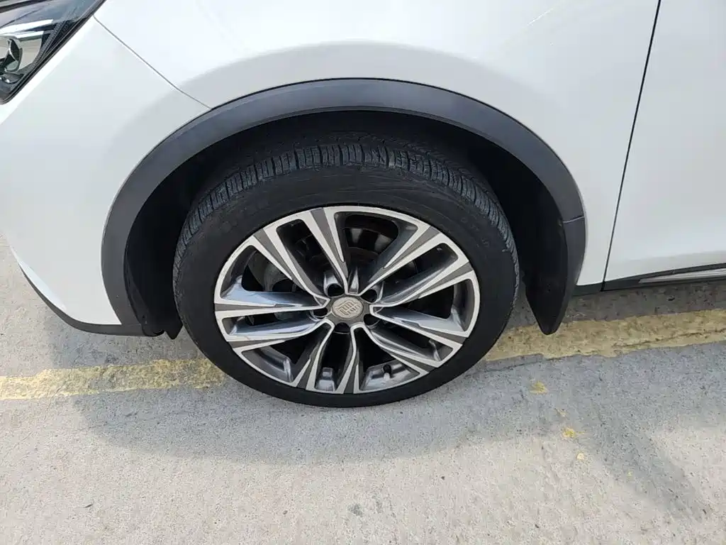 BYD Tang 2019 2018 2.0T Automatic Smart Connection Noble Edition 7-Seater China V