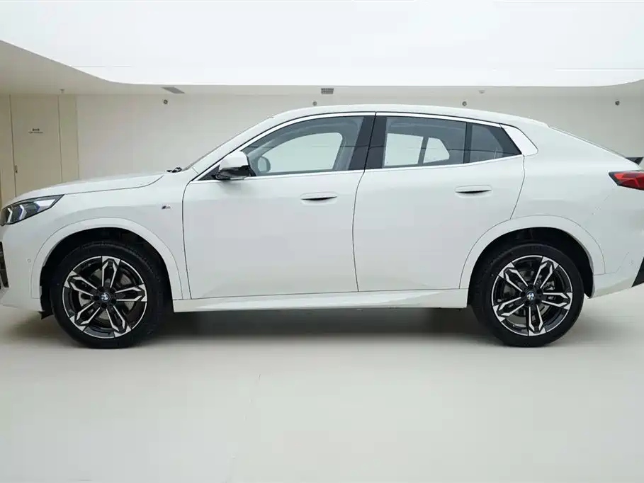 BMW X2 (Import) 2024 sDrive25i M Sport Package фото 3