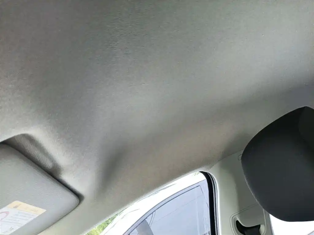 Volkswagen Santana 2018 1.5L Manual Trend Edition фото 18