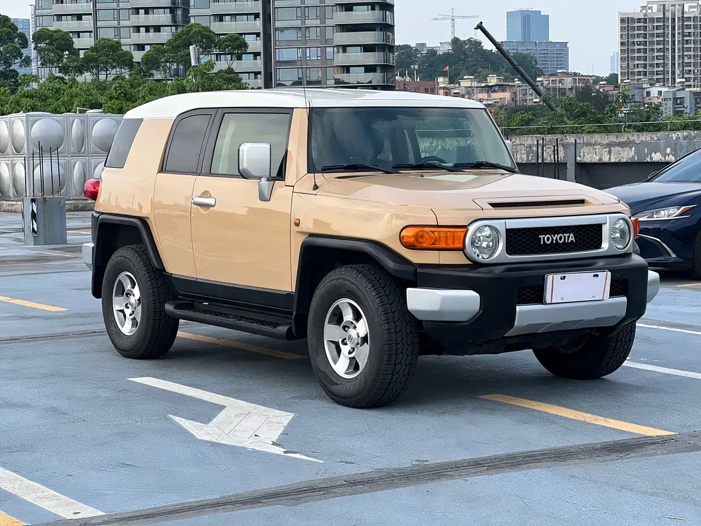 Toyota FJ Cruiser 2007 4.0L фото 2