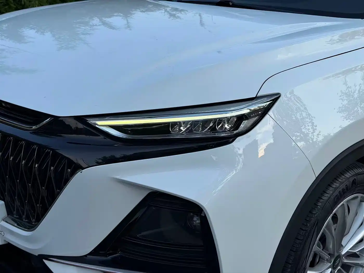 Changan Oshan X7 PLUS 2022 2022 1.5T Blue Whale Edition Auto Executive