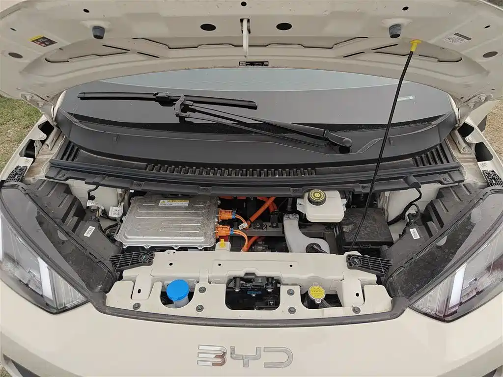 BYD Seagull 2025 Smart Drive Edition 305km Freedom Version фото 16