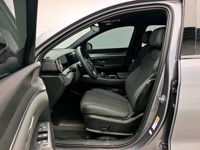 BYD Song Pro New Energy 2025 2nd Gen DM-i 75KM Leading Type фото 8
