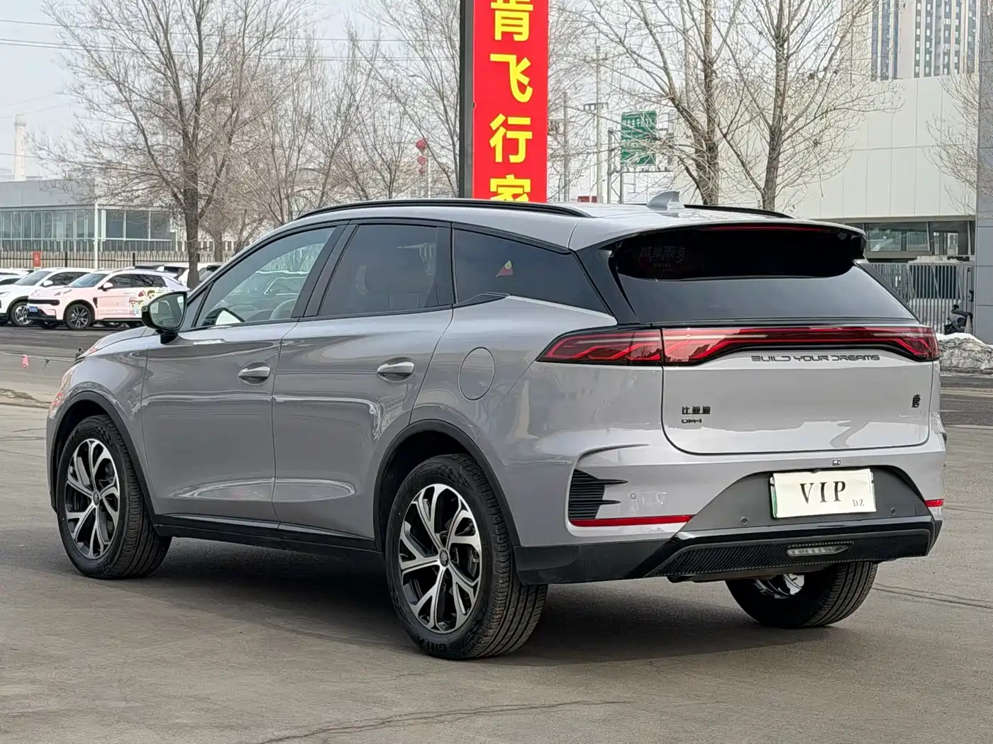 BYD Tang New Energy 2025 DM-i 115KM Premium фото 9