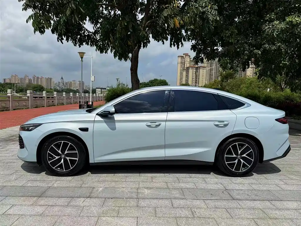 BYD Qin L 2025 DM-i Smart Drive 80KM Premium фото 17