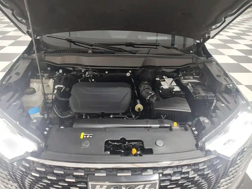 Haval H6 2022 3rd Gen 1.5T Auto 2WD Supreme+ фото 20