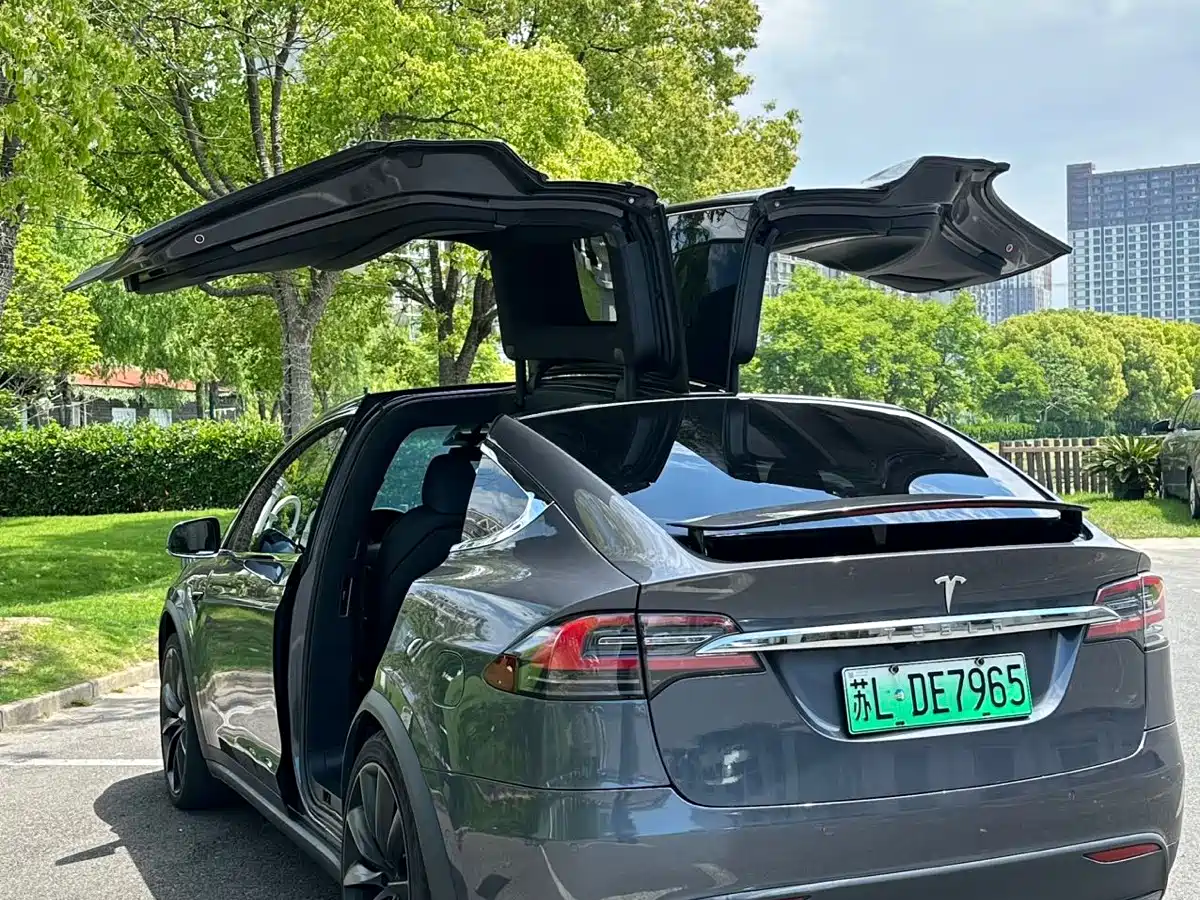 Tesla Model X 2020 Long Range Upgrade фото 4