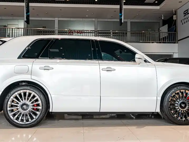 Shiji 2024 3.5L PHEV Base Edition фото 4