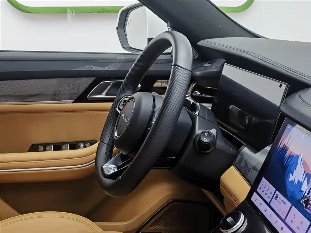 Lynk & Co 09 2024 2.0T 4WD Sport Edition 5-Seater фото 22