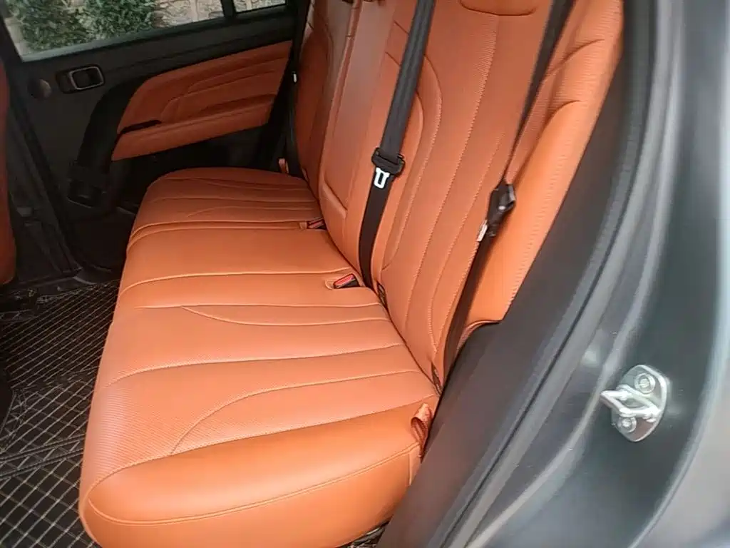 Haval H9 2024 2.0T Gasoline AWD Extreme Edition фото 17