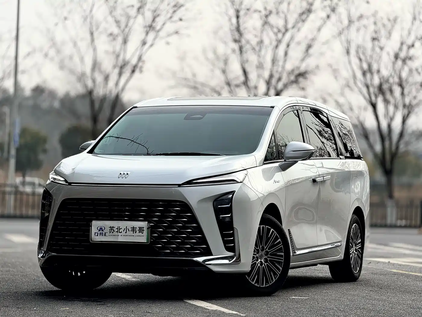 BUICK GL8 NEW ENERGY