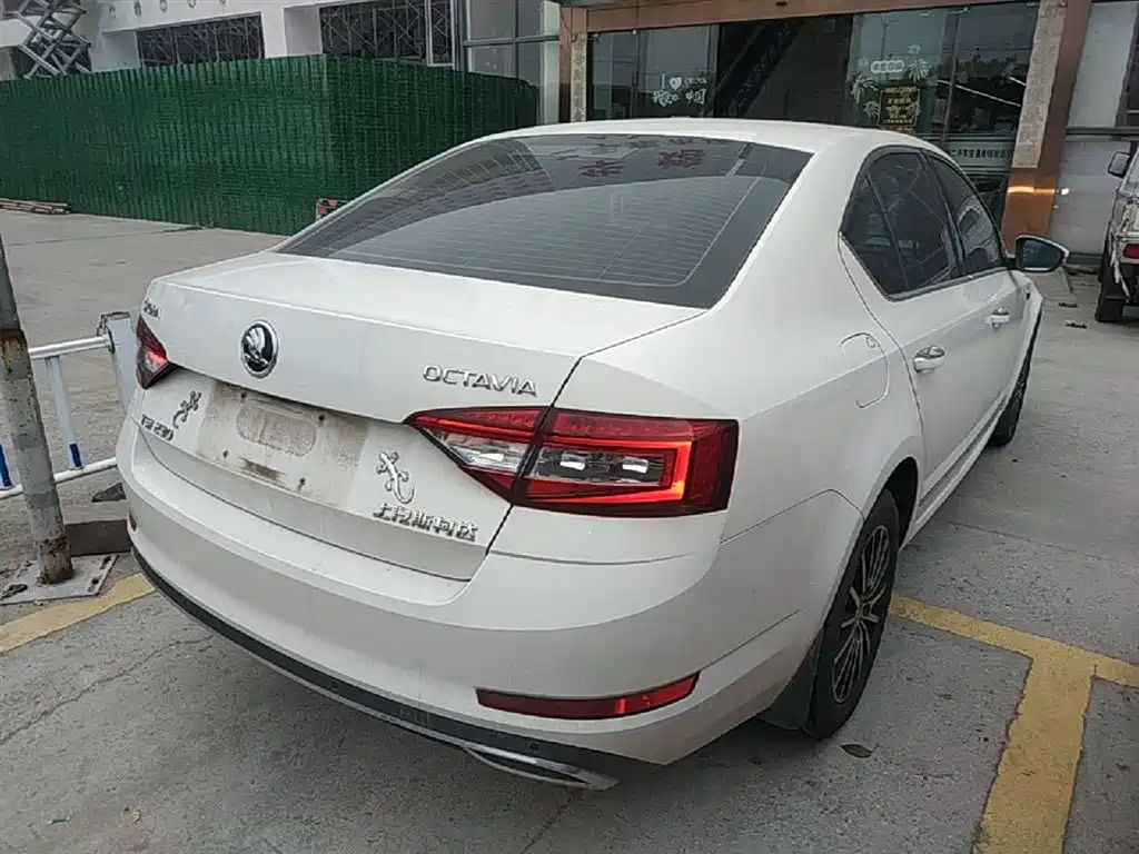 Škoda Octavia 2019 TSI230 DSG Luxury Edition фото 7