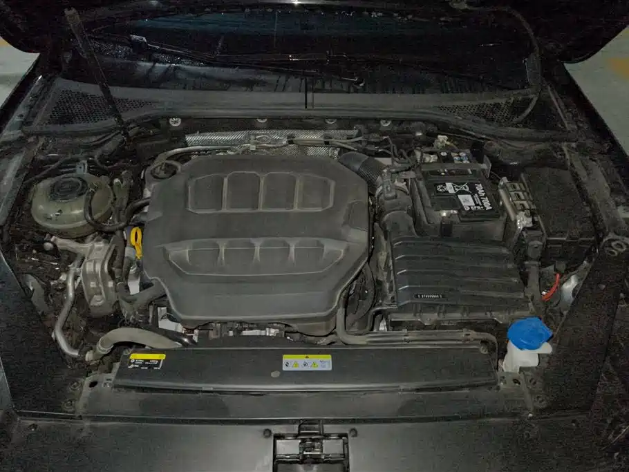 Volkswagen Magotan 2024 2 Million Units Public Sharing Edition 330TSI DSG Luxury фото 10