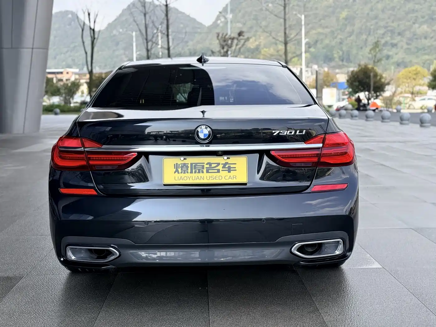 BMW 7 Series 2018 730Li Leading Type M Sport Package фото 7