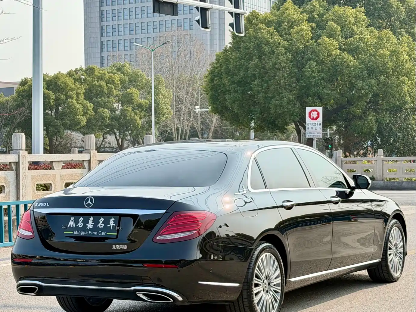 Mercedes-Benz E-Class 2020 Facelift E 300 L Fashion фото 8