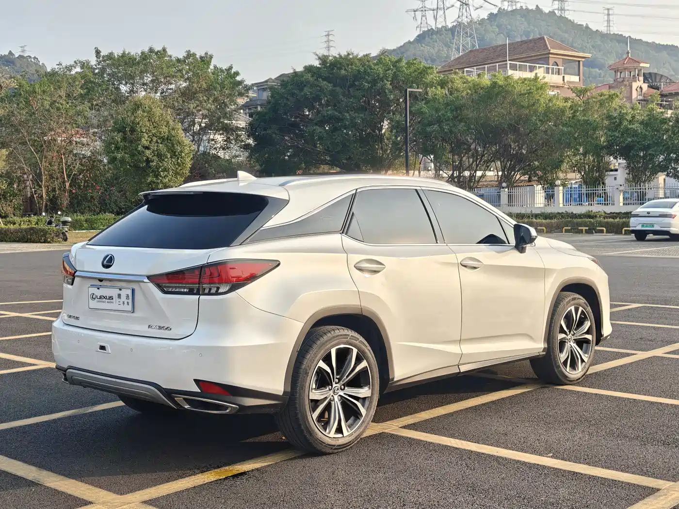 Lexus RX 2020 300 4WD Elegance Edition China VI фото 5