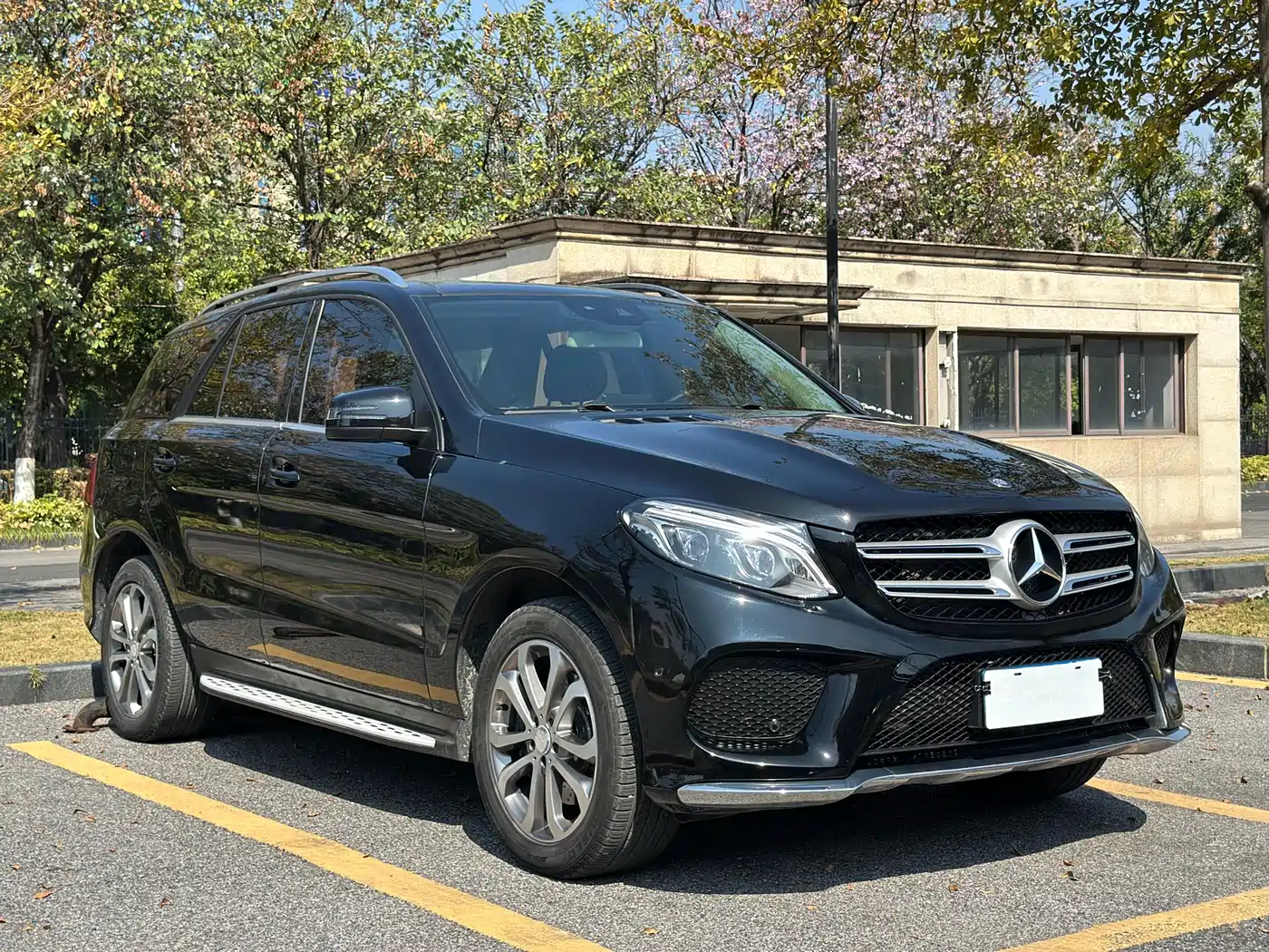 Mercedes-Benz GLE 2017 GLE 320 4MATIC Dynamic фото 3