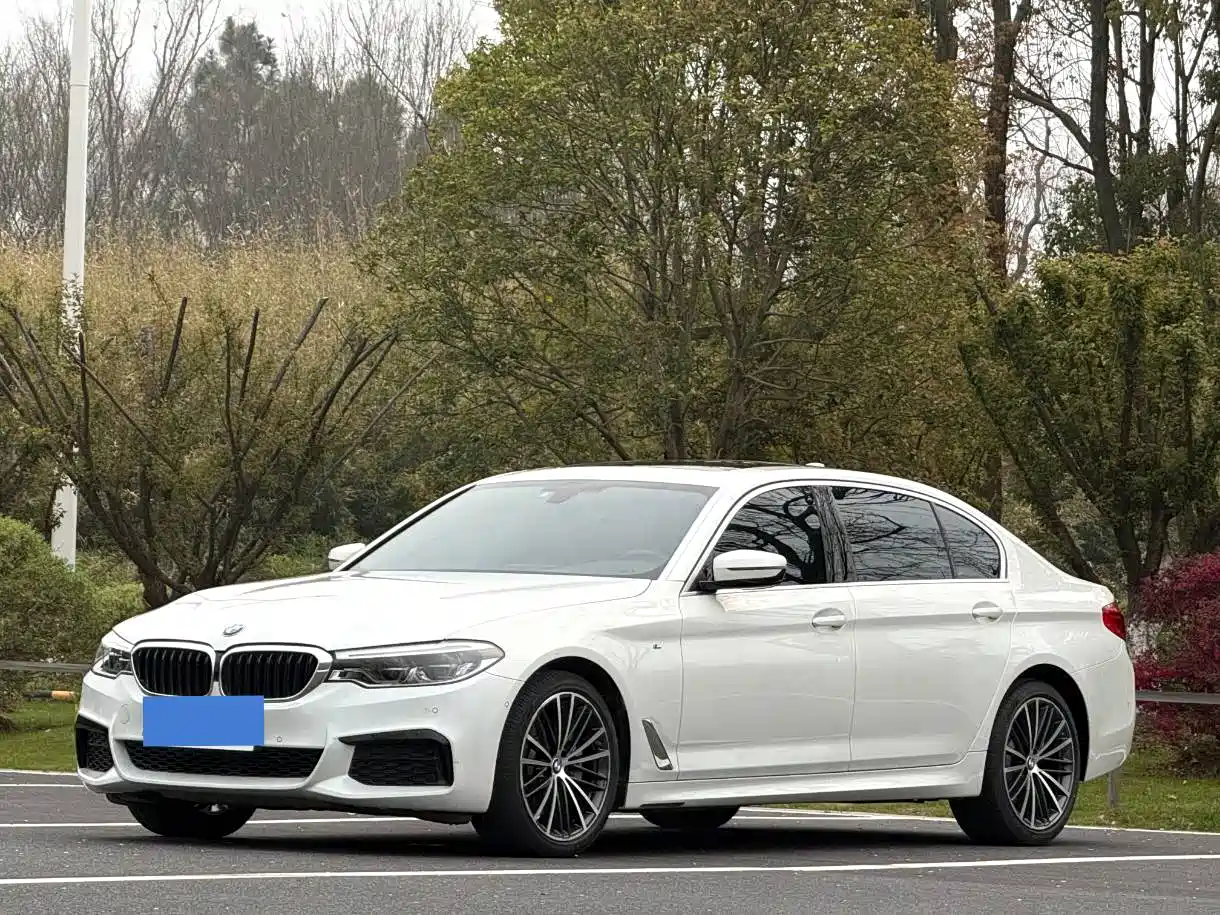 BMW 5 Series 2020 Model 530Li xDrive M Sport Package