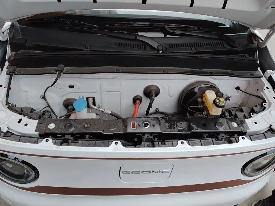 Фото 9 - Geely Galaxy Panda