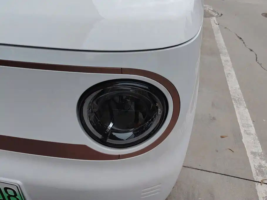 Фото 5 - Geely Galaxy Panda