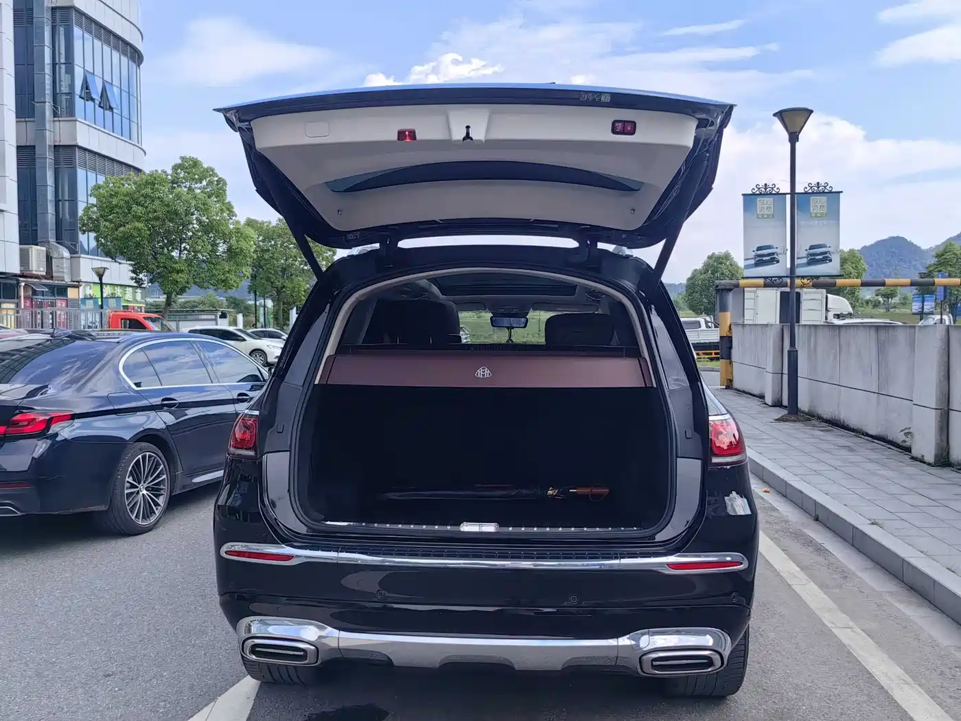 Mercedes-Benz Maybach GLS 2021 GLS 480 4MATIC фото 5