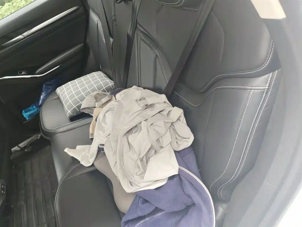 Haval H6 2021 3rd Gen 1.5T Auto 2WD Pro фото 15