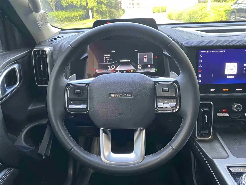 Haval Big Dog 2024 2.0T DCT Chinese Rural Dog Edition фото 7