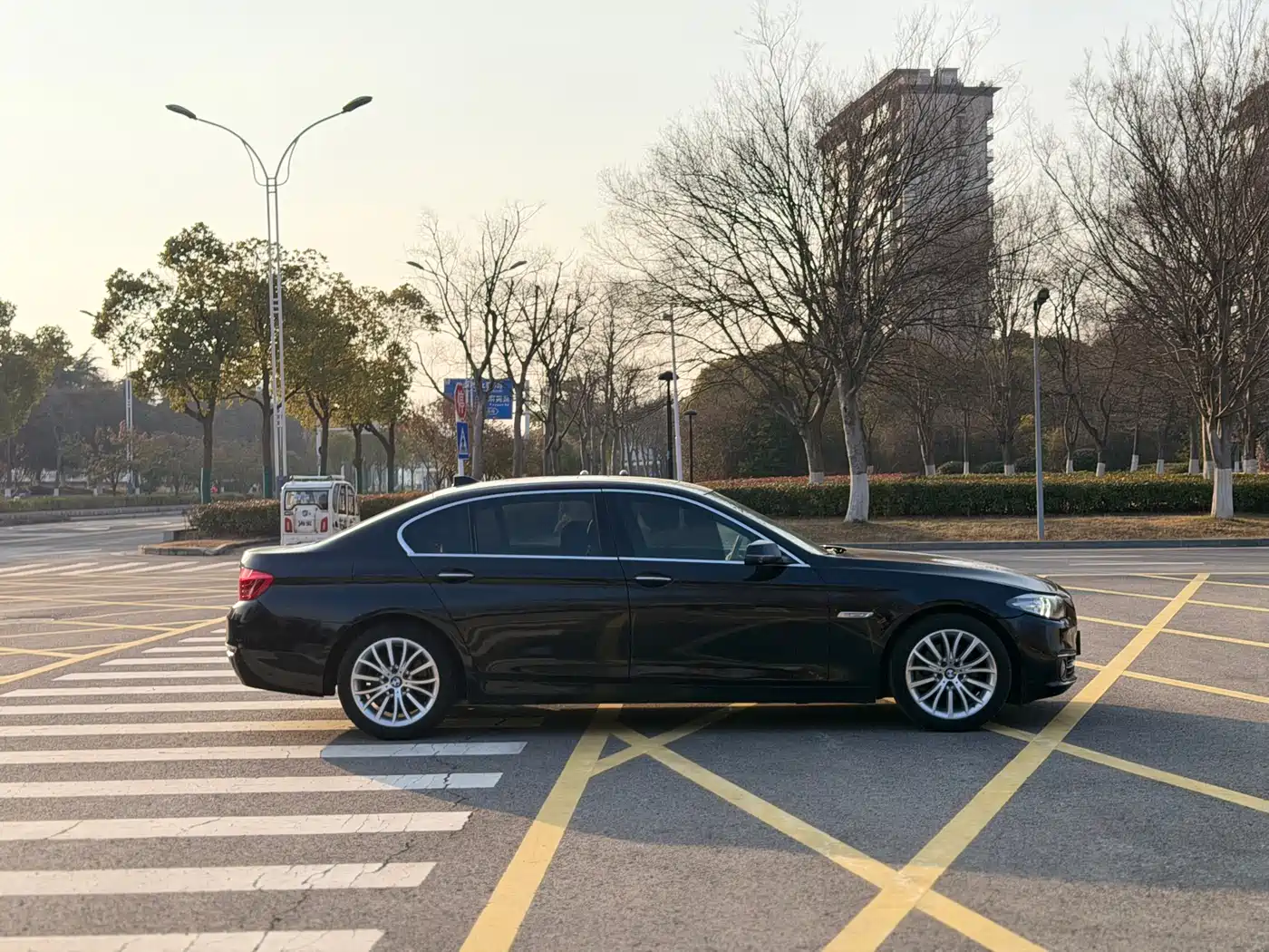 BMW 5 Series 2014 525Li Luxury Design Package фото 8