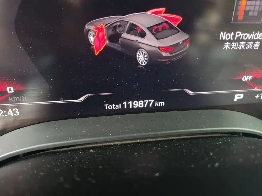 BMW 5 Series 2020 530Li Leading Luxury Package фото 5