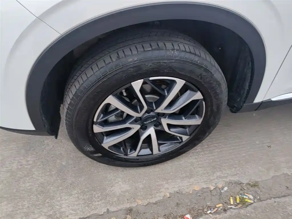 Haval H6 2022 3rd Gen 1.5T Auto 2WD Pro фото 23