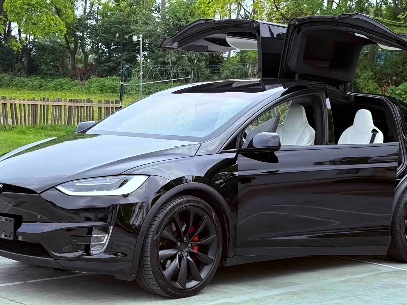 Tesla Model X 2019 Performance High-performance Version фото 3