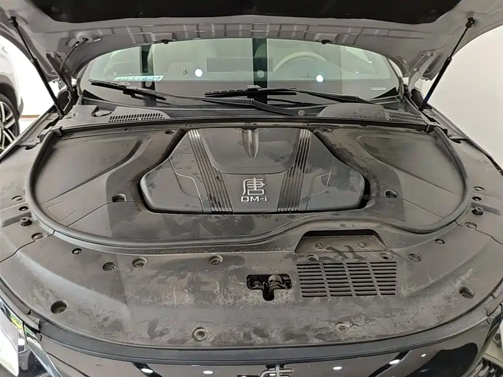 BYD Tang New Energy 2025 Smart Driving Edition DM-i 115KM Flagship фото 20
