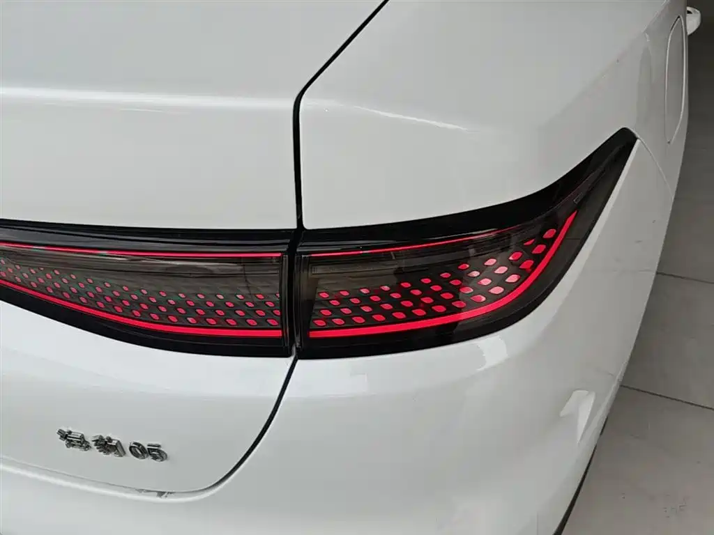 BYD Hai Bao 05 DM-i 2025 DM-i Smart Drive Edition 55KM Luxury фото 8