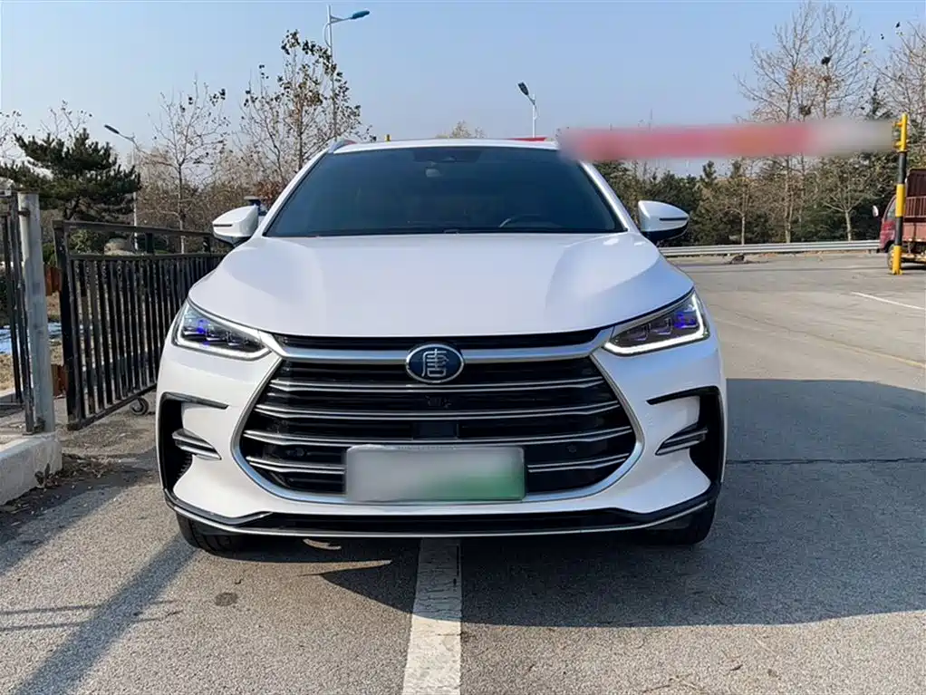 BYD Tang New Energy 2021 DM 2.0T 4WD Performance Premium фото 13