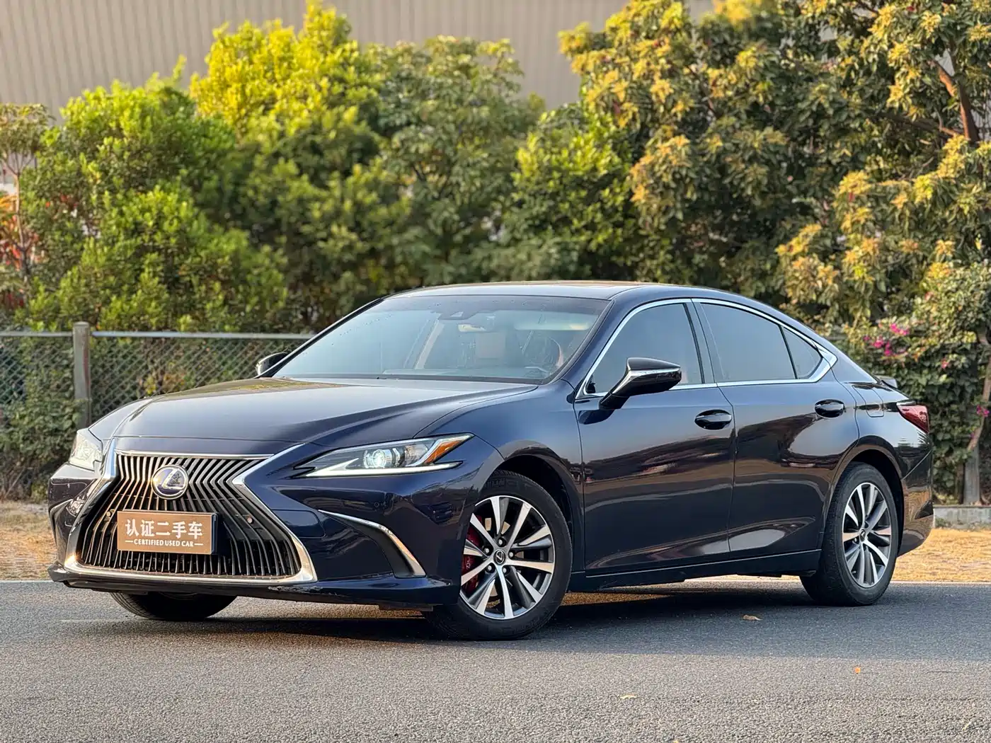 Lexus ES 2018 300h Excellence Edition China V